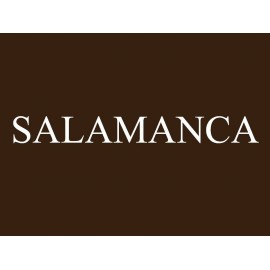 Salamanca - Recoletos